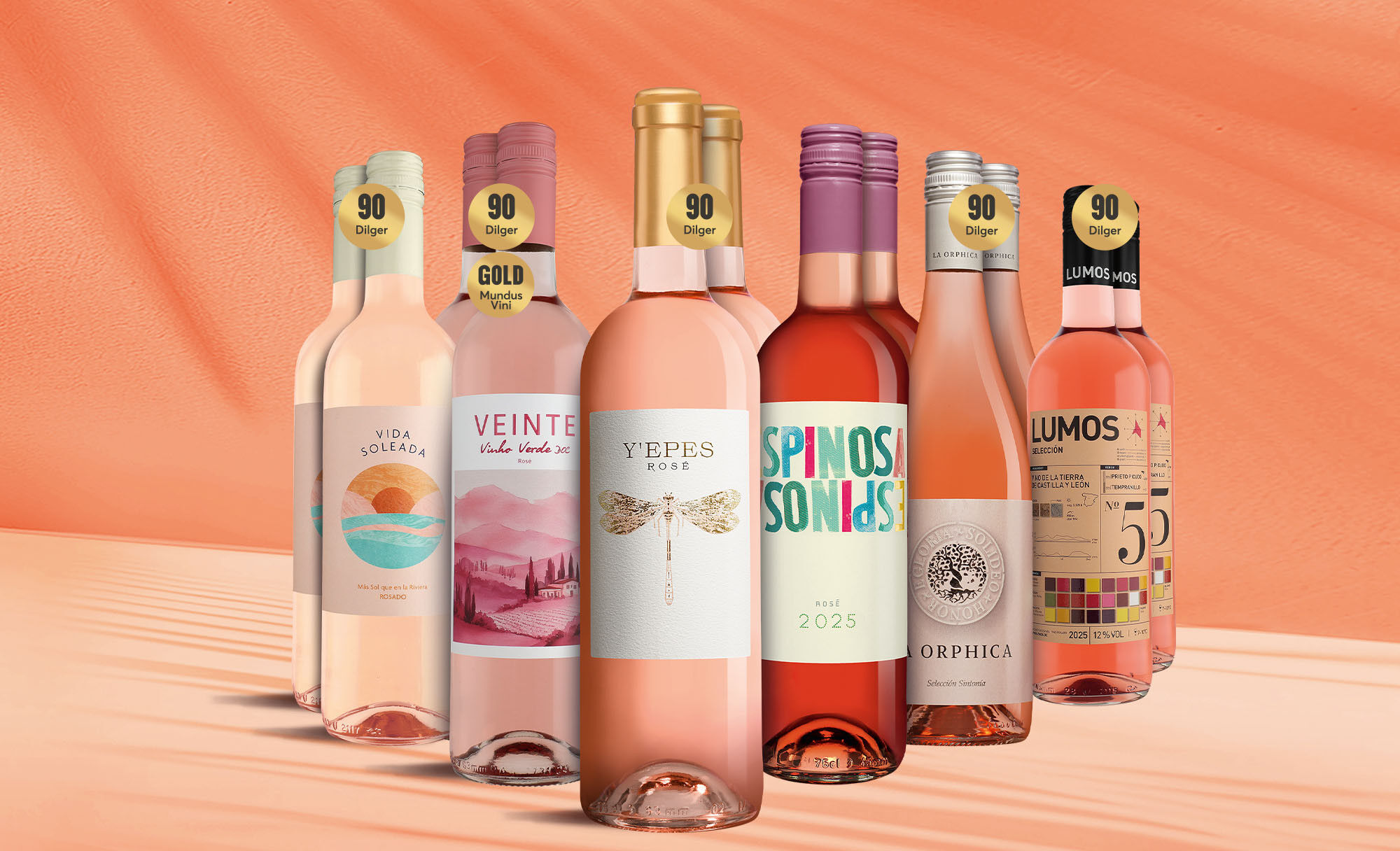 Rosé Genießer-Paket Weinpaket  aus Spanien