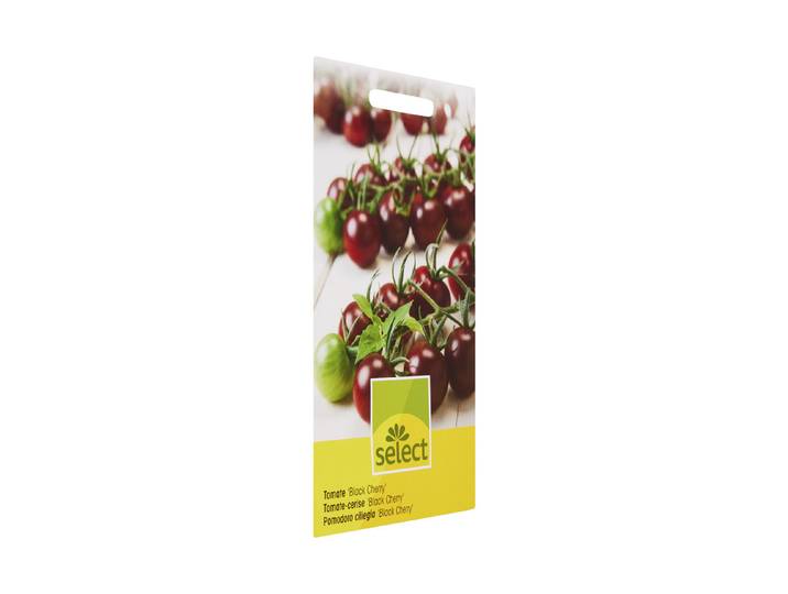 Select Black Cherry Tomate Saatgut