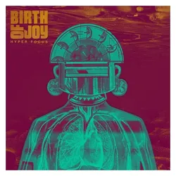 Indigo Press, Schallplatten, Hyper Focus (Birth Of Joy)
