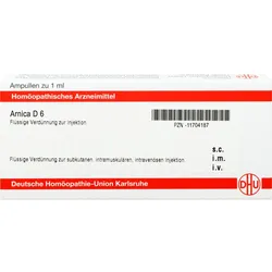 Arnica D6 Ampullen 8 ML
