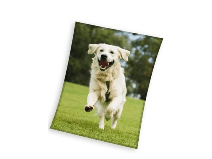 Sweet Home fleeceplaid hond groen 150x200cm