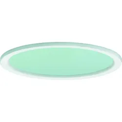 Ridi-Leuchten Dekorglas DR195-MPS-G-D-W