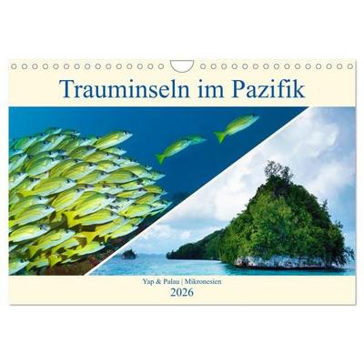 Mikronesien: Yap und Palau (Wandkalender 2026 DIN A4 quer), CALVENDO Monatskalender