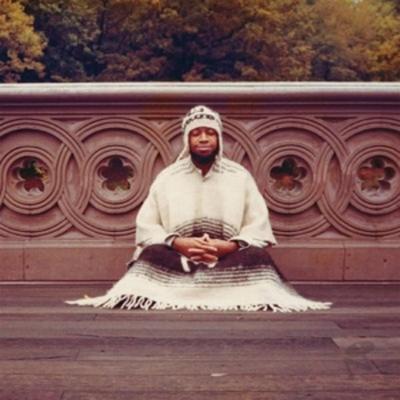 SEGUE TO INFINITY (Ltd.Galaxy vinyl) - Laraaji, Vinyl