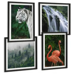 BILDER SET 4er Set - 50x50 cm & 40x60 cm Schwarzer Rahmen - Tiger Wasserfall Flamingos Natur