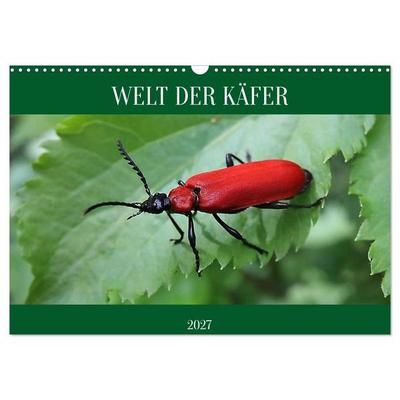 WELT DER KÄFER (Wandkalender 2027 DIN A3 quer), CALVENDO Monatskalender