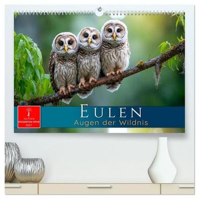 Eulen - Augen der Wildnis (hochwertiger Premium Wandkalender 2027 DIN A2 quer), Kunstdruck in Hochglanz