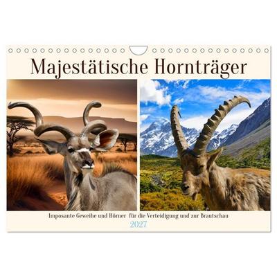 Majestätische Hornträger (Wandkalender 2027 DIN A4 quer), CALVENDO Monatskalender