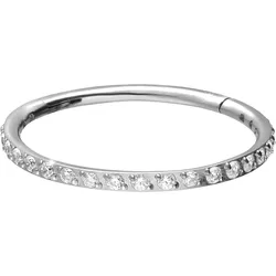 Titan Segmentring Clicker EINGEFASSTE KRISTALLE