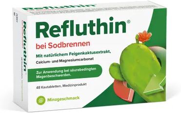 Dr. Schwabe Refluthin tablets 48 pcs.