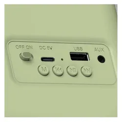Haeger RB-GRE.001A (FM, Bluetooth), Radio, Grün