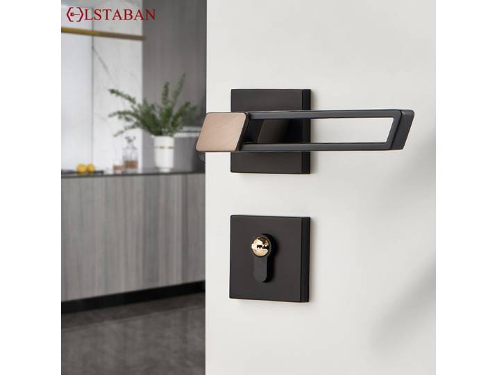 Poignées de porte en alliage de Zinc paire de serrures panneau épais quincaillerie de porte de salon casier de porte quincaillerie domestique poignées de chambre à coucher