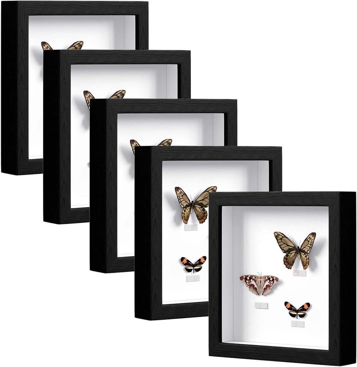 Set van 5 zwarte fotolijsten voor wanddecoratie en 3D-objecten, 30 x 30 cm