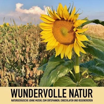 Wundervolle Natur: Naturgeräusche (ohne Musik) zum Entspannen, Regenerieren und Einschlafen - Anna-Maria Rosendahl, Audio, 4057664530752