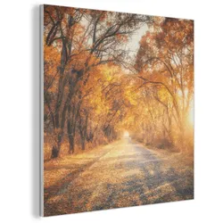 AKUSTIKBILD Wald - Herbst - Bäume - Waldweg - Natur Akustikpaneele 90x90 cm