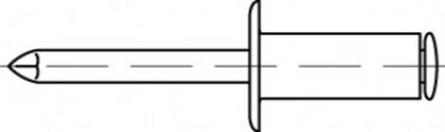 TOOLCRAFT TO-5444394 Blindniete 4.8mm Edelstahl 500St.
