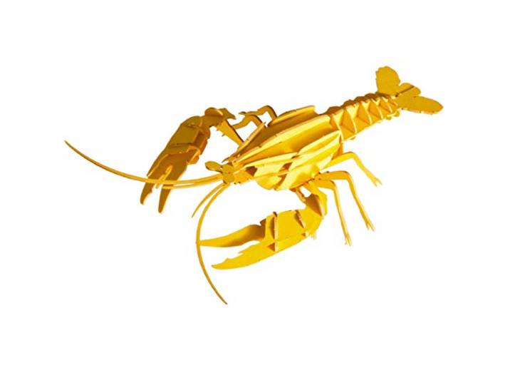FRIDOLIN 3D Papier Model - Kreeft