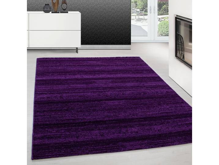 Teppium Tapis de Salon Moderne 160x230 cm - Violet Uni Poil Court et Moelleux Couleurs Tendance