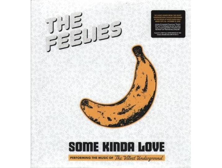 Some Kinda Love: the Music of the Vu (Grey)