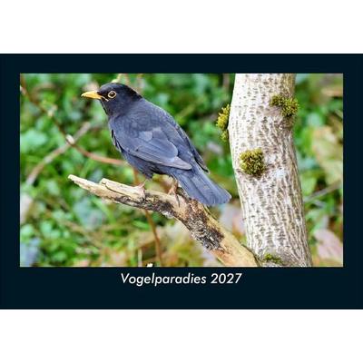 Vogelparadies 2027 Fotokalender DIN A5