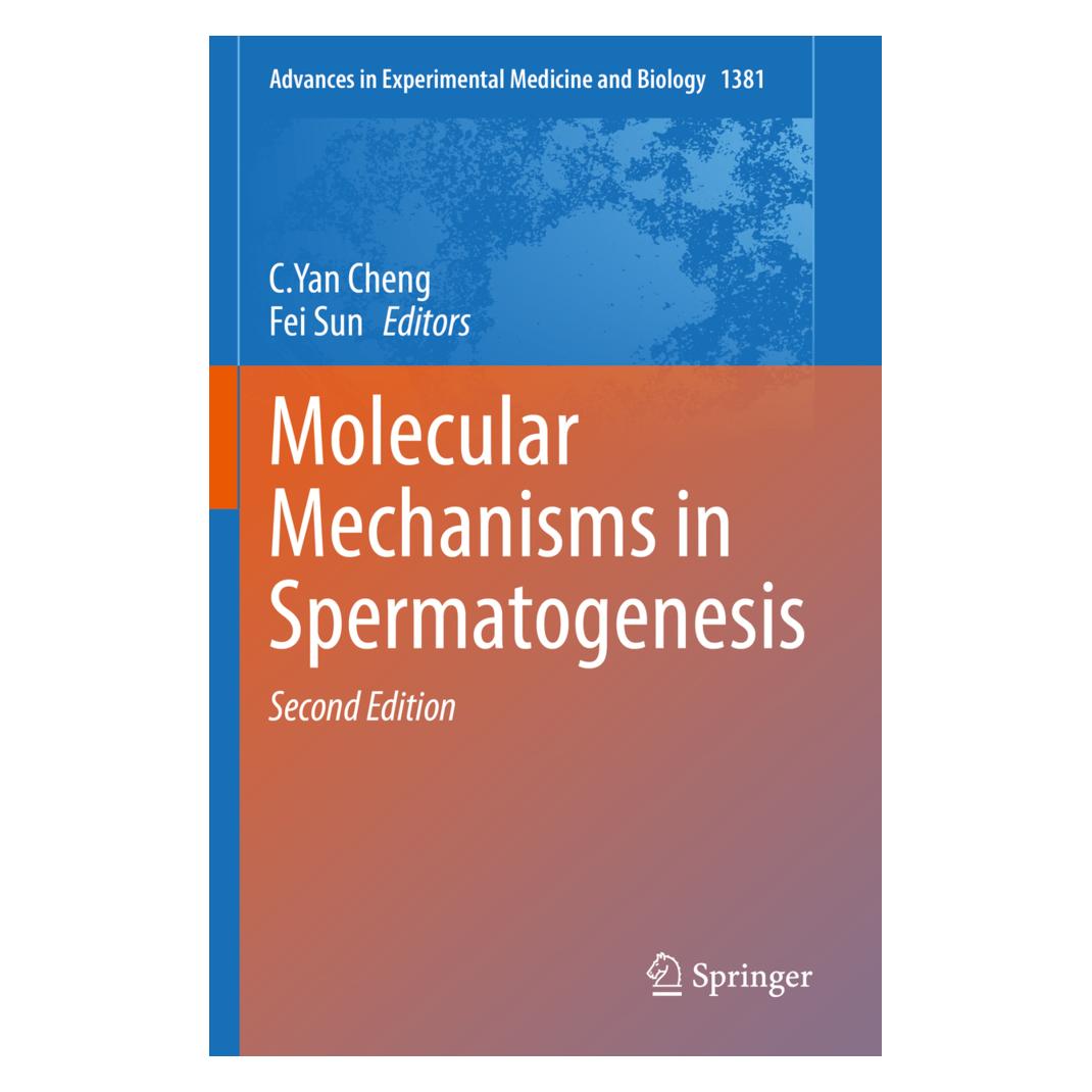 Springer Molecular Mechanisms in Spermatogenesis (Englisch, Softcover, C.Yan Cheng, Fei Sun, Yan Cheng) (56880679)