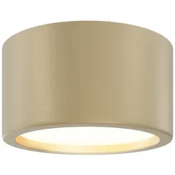 Technical Deckenleuchte Hydra Aluminium Mattes Gold C090CL-15W3K-MG mit IP 44