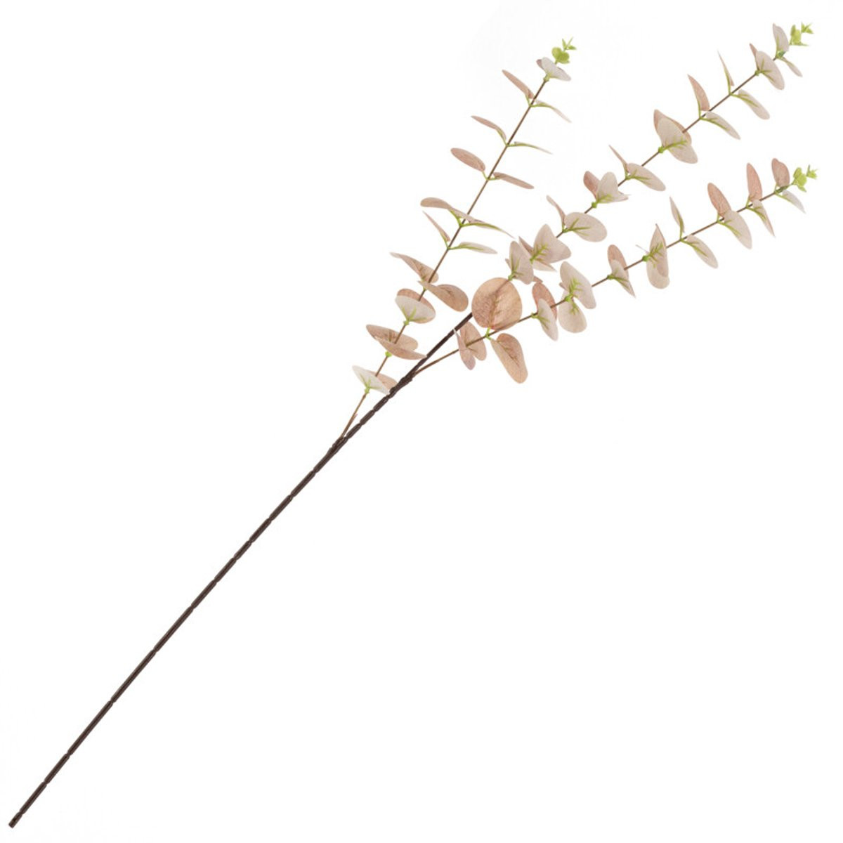 Kunstbloem eucalyptus rosewood van Homebound by Ky