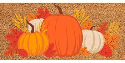 Evergreen Pumpkin Patch Flocked Coir Sassafras Switch Mat