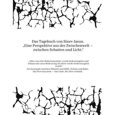 Das Tagebuch von Sinev Jasun. 'Eine Perspektive aus der Zwischenwelt - zwischen Schatten und Licht.'; Gebundene Ausgabe von Sinev Jasun, Tredition,