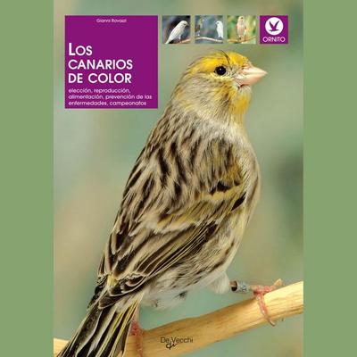 Los canarios de color - Gianni Ravazzi, Audio, 9798894057798