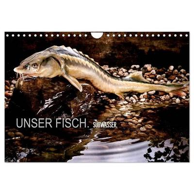 UNSER FISCH. SÜßWASSER. (Wandkalender 2027 DIN A4 quer), CALVENDO Monatskalender