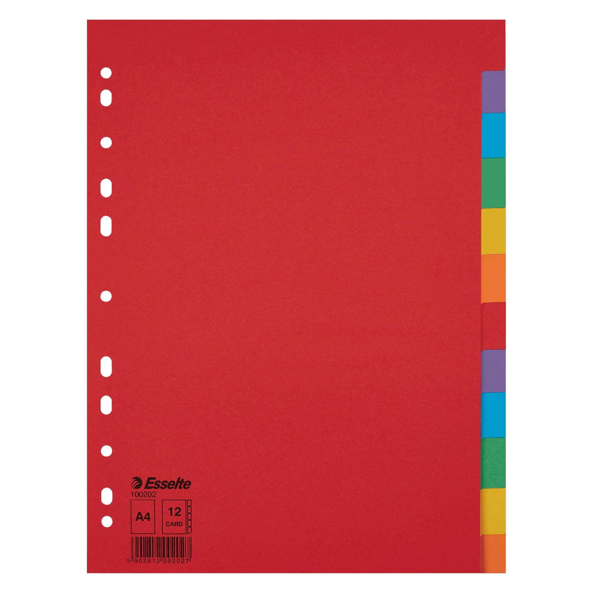 Esselte Kartonregister Blanko (100202)