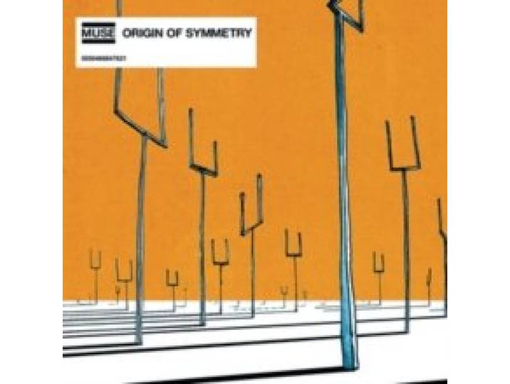 Origin Of Symmetry