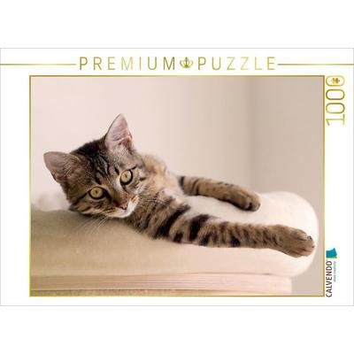 CALVENDO Puzzle Katerchen Bud 1000 Teile Puzzle quer | 1000 Teile Lege-Größe 64 × 48 cm Foto-Puzzle für glückliche Stunden