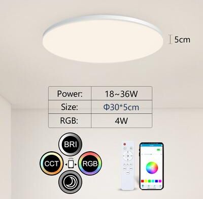 Evergreen Home Goods Smart Ceiling Light, RGB CCT APP Control, Ambient Light, For Bedroom, Home Decor 300mm