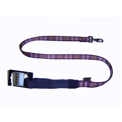 Arka Chili (Hund, Spazieren), Halsband + Leine