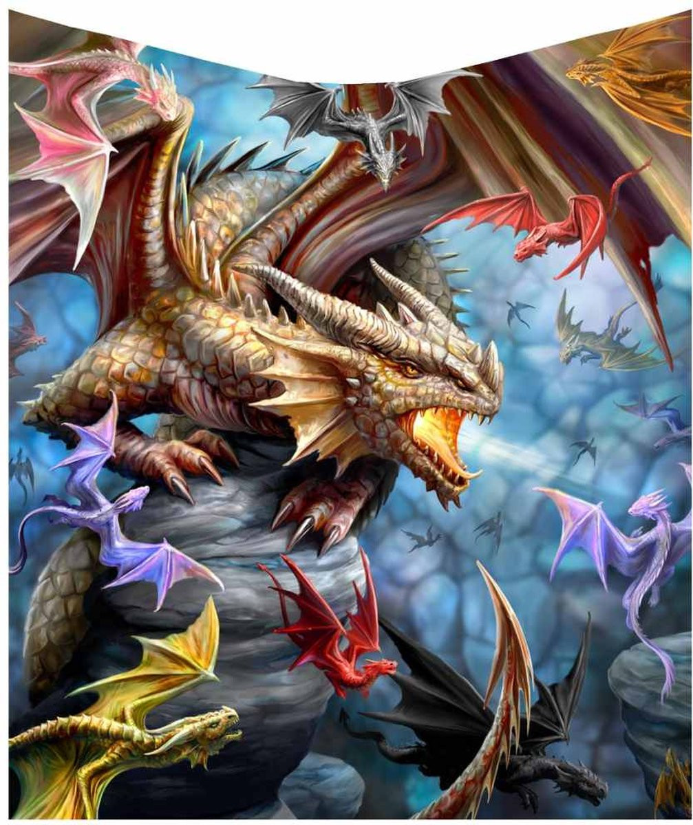 Nemesis Now Plaid Dragon Clan Multicolour