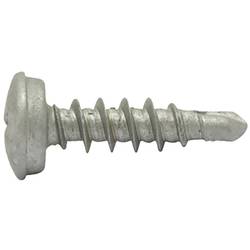 SWG 211652525 Nummernschild-Schrauben 5 mm 25 mm Kreuzschlitz Phillips Stahl verzinkt 100 St.