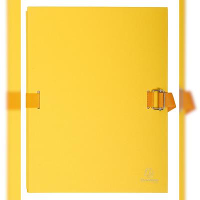 Exacompta 223235E 10x PM deh-R+Kl Text 120 320x240 dbl - Gelb