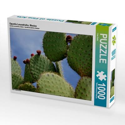 CALVENDO Puzzle Opuntia Leucotricha, Mexico | 1000 Teile Lege-Größe 64x48cm Foto-Puzzle für glückliche Stunden
