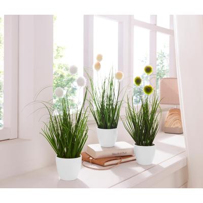 Kunstgras OTTO HOME "Grasbusch, naturgetreue Kunstpflanze, 35cm hoch", grün (grün, weiß), H:35cm Ø:7,5cm, Kunststoff, Kunstpflanzen, im 3 teiligen Set, mit Übertopf wahlweise in schwarz oder weiß