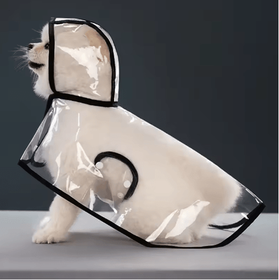 Inspire Picks Transparent Waterproof Dog Raincoat For Small & Large Dogs (XS8XL) black s
