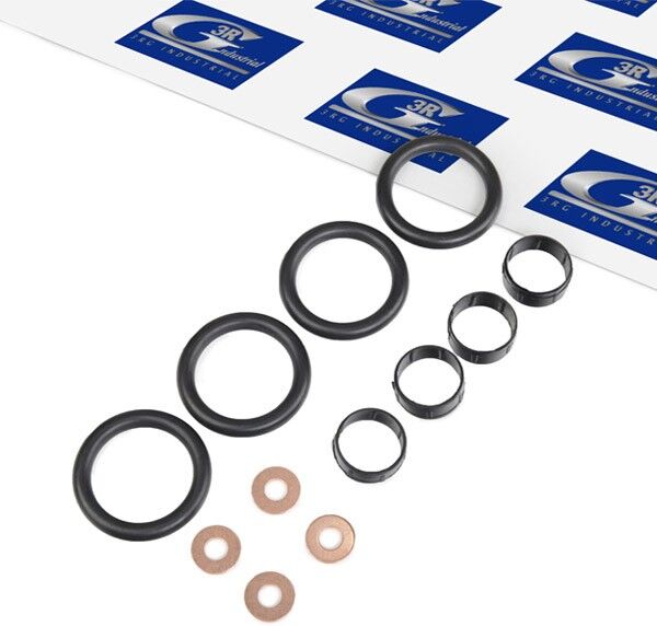 3RG 84223 Injector seal kit