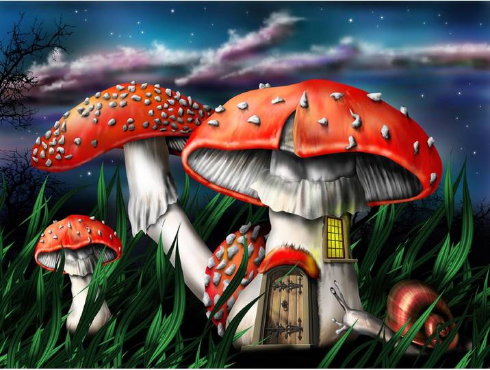 Papermoon Zauberpilze