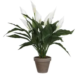 Mica Decorations Spathiphyllum - Kunstpflanze - Weiß - H 50 cm