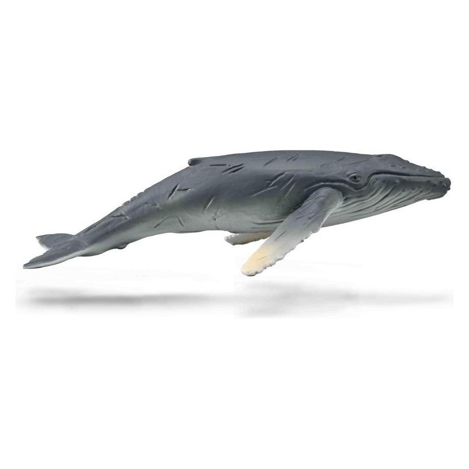 Collecta Buckelwal-Kalb (88963)
