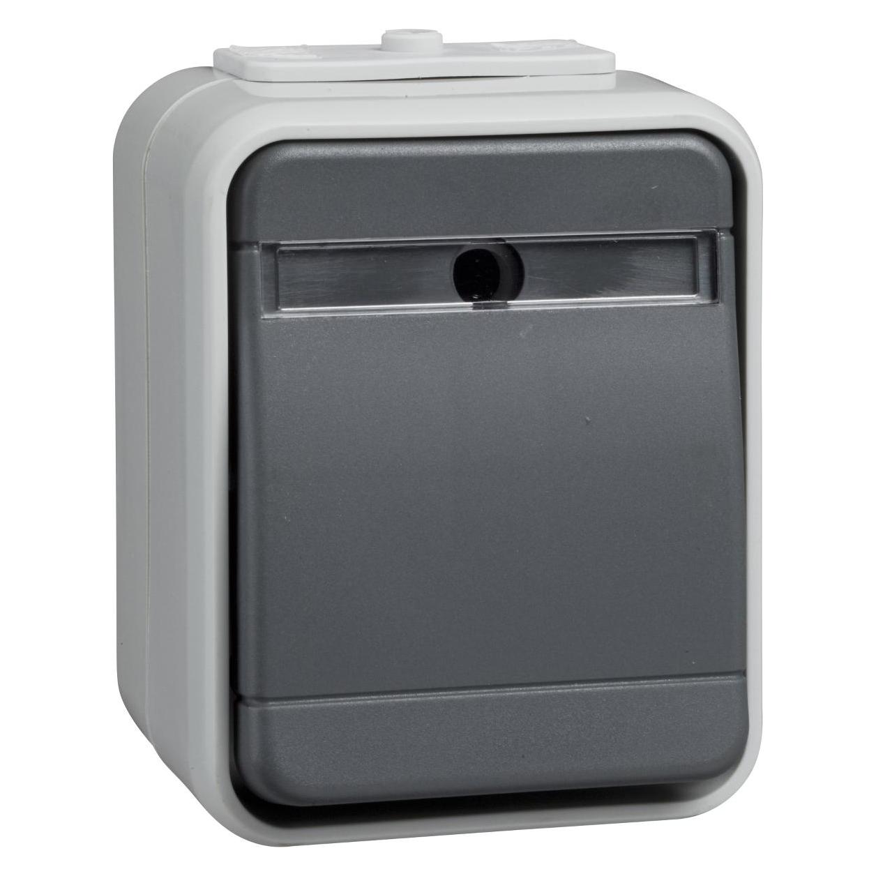 Schneider GmbH Taster 10A AquaTop licht/basaltgrau (442129)