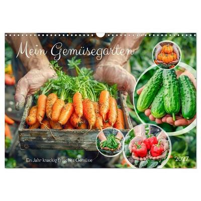 Mein Gemüsegarten - Ein Jahr knackig frisches Gemüse (Wandkalender 2027 DIN A3 quer), CALVENDO Monatskalender