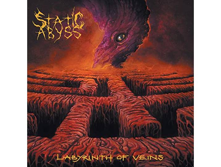 Labyrinth of Veins
