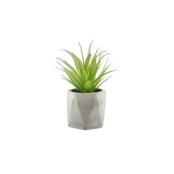 Kunstblume  Sukkulente , grün , Kunststoff,Schaumstoff,Stein , Maße (cm): H: 14  Ø: 7